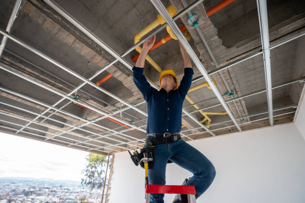Best Best Plumbers Near Me  in Haines, AK