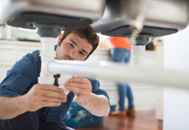 Best Clogged Drain Plumber  in Haines, AK